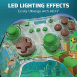 V4H90077A6D20346D4865100A8452EFC3BCR7178652P6