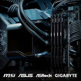 V4H656ACA6022BE08E8DA47D96F702A65B2R4848541P6