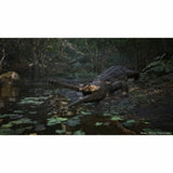 V2HE97DBC7375DD0114F752837D1F5F48CCR6915944P6