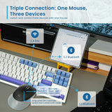 V2HEDB78856F20FBAB95FC17CEB555ABB7BR7289238P10