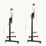 V3H45DBB3C9EBAA896DDE629043CA27E331R6202087P10