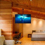 V2HD66696881A77798D7A1635E01EAEC5D4R7361903P4