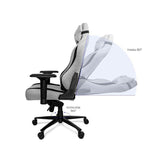 Silla Gaming Phoenix SYNERGY - HAMISHOP07